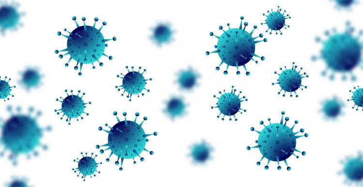 picture of the coronavirus