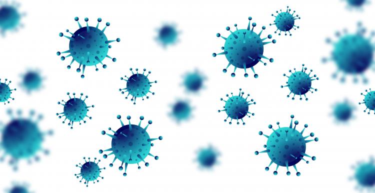 picture of the coronavirus