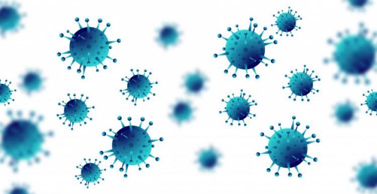 picture of the coronavirus