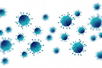picture of the coronavirus