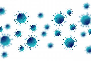 picture of the coronavirus