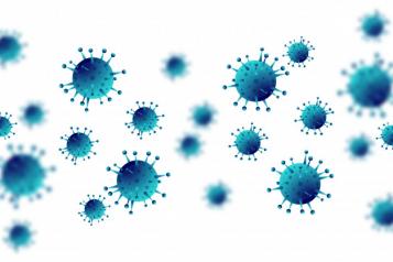 picture of the coronavirus